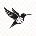 蜂鸟体育 Logo - 一只抽象化的蜂鸟与篮球结合的设计
